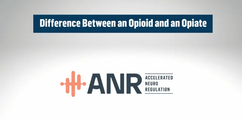 opioid vs opiate