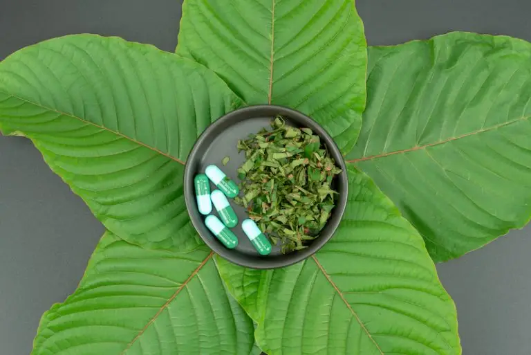 how long does kratom stay in your system