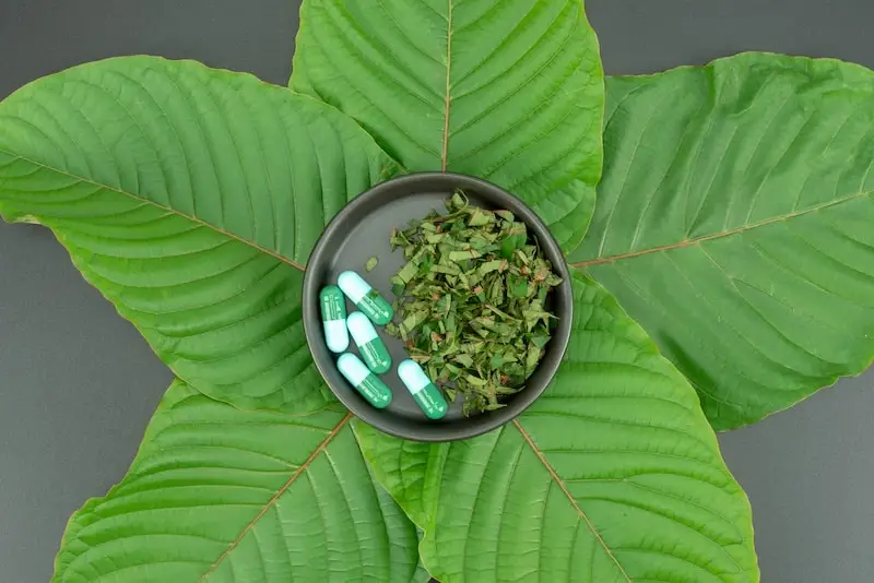 how long does kratom stay in your system