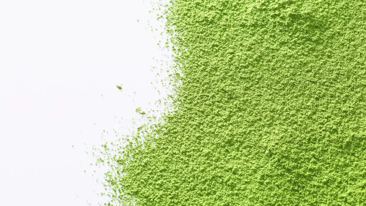 kratom overdose