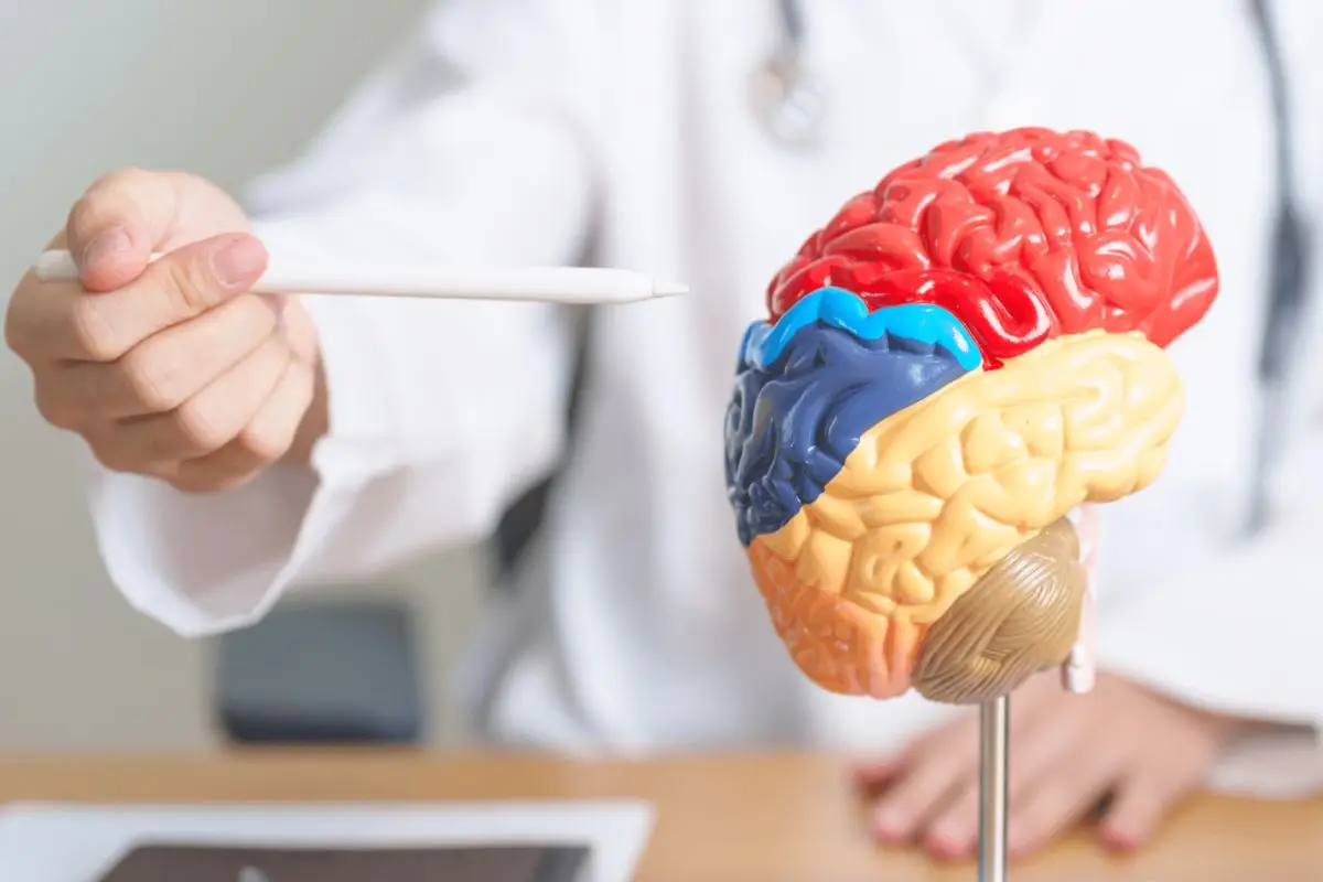 ANR addresses the neurobiological causes of opioid dependence