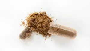 What is Ibogaine